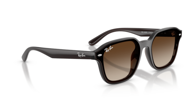 Transparent Dark Brown - 0RB4458D 8056262458204