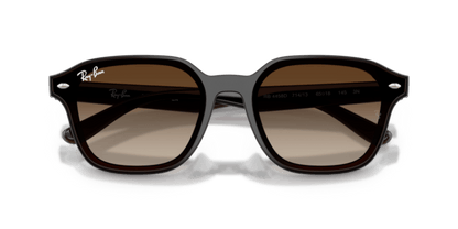 Transparent Dark Brown - 0RB4458D 8056262458204