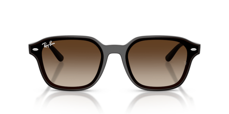 Transparent Dark Brown - 0RB4458D 8056262458204