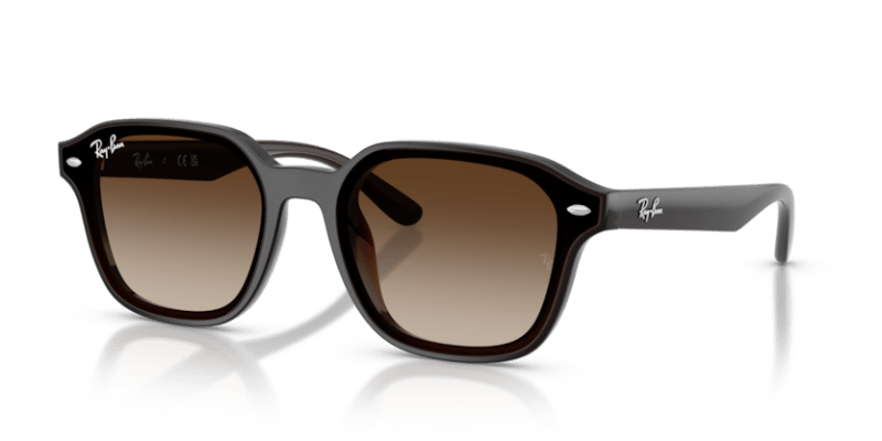 Transparent Dark Brown - 0RB4458D 8056262458204