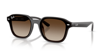 Transparent Dark Brown - 0RB4458D 8056262458204