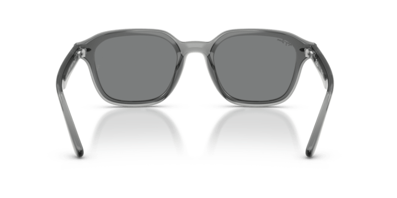 Transparent Grey - 0RB4458D 8056262458198