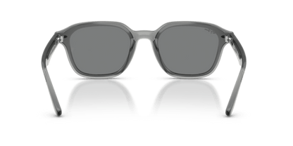 Transparent Grey - 0RB4458D 8056262458198