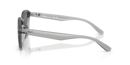 Transparent Grey - 0RB4458D 8056262458198
