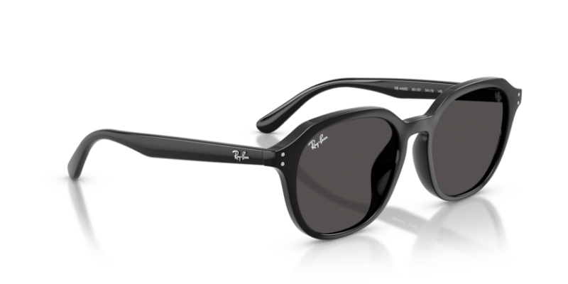 Black - 0RB4459D 8056262464083