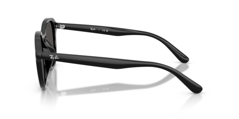 Black - 0RB4459D 8056262464083