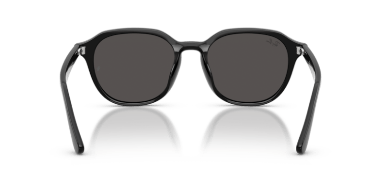 Black - 0RB4459D 8056262464083