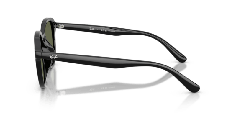 Black - 0RB4459D 8056262464090