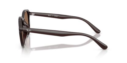 Opal Brown - 0RB4459D 8056262464076