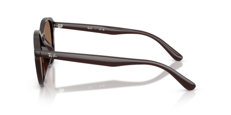 Opal Brown - 0RB4459D 8056262464076