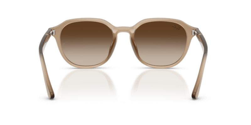 Turtledove - 0RB4459D 8056262464052