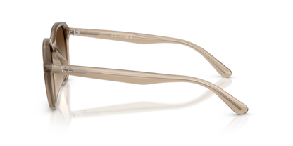 Turtledove - 0RB4459D 8056262464052