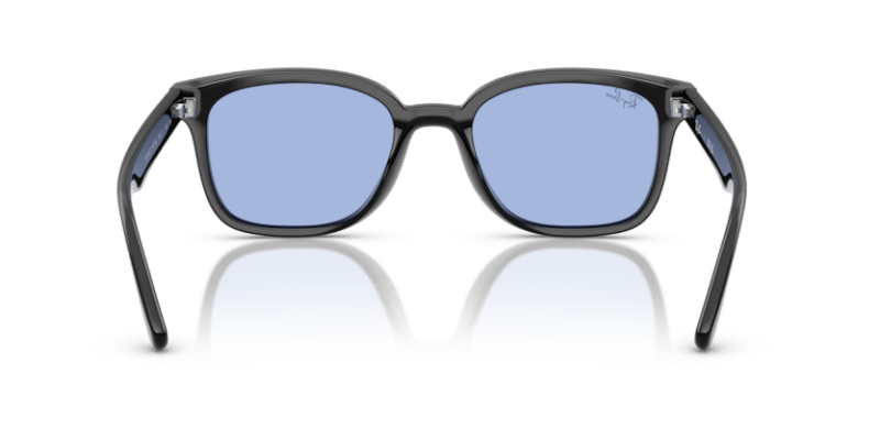Black - 0RB4461D 8056262457993