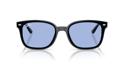 Black - 0RB4461D 8056262457993