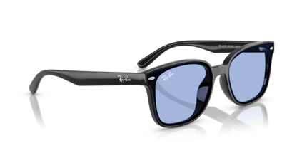 Black - 0RB4461D 8056262457993