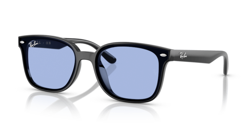 Black - 0RB4461D 8056262457993