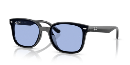 Black - 0RB4461D 8056262457993