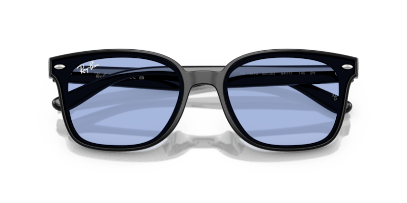 Black - 0RB4461D 8056262457993