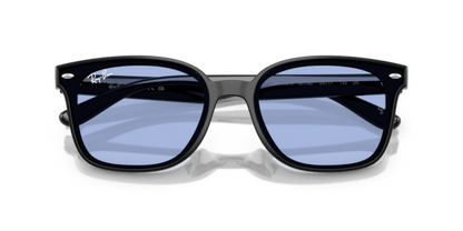 Black - 0RB4461D 8056262457993