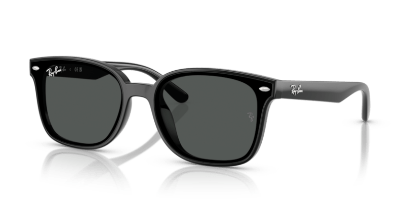 Black - 0RB4461D 8056262458006