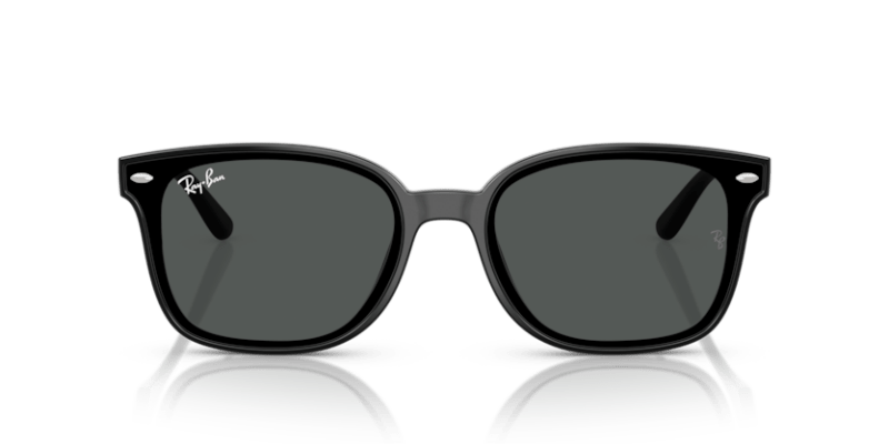 Black - 0RB4461D 8056262458006