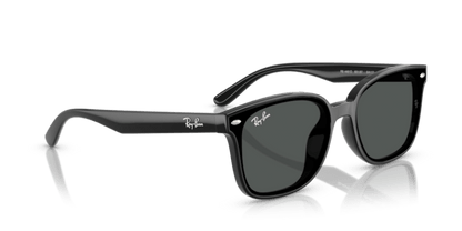 Black - 0RB4461D 8056262458006