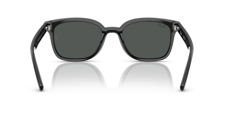 Black - 0RB4461D 8056262458006