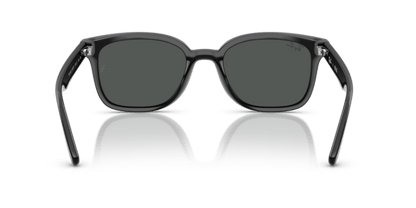 Black - 0RB4461D 8056262458006