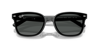 Black - 0RB4461D 8056262458006