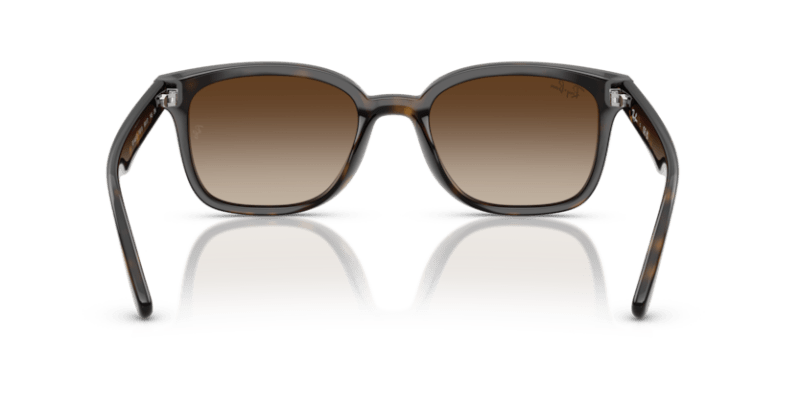 Havana - 0RB4461D 8056262458037