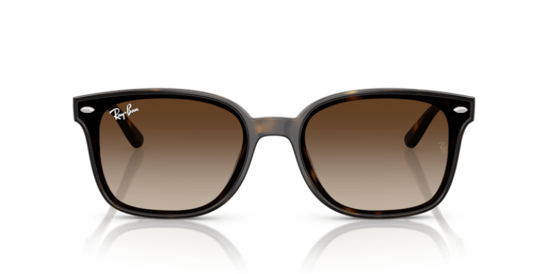 Havana - 0RB4461D 8056262458037