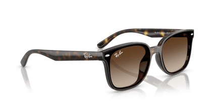 Havana - 0RB4461D 8056262458037