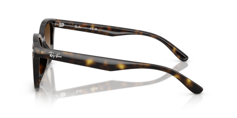 Havana - 0RB4461D 8056262458037