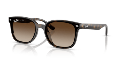 Havana - 0RB4461D 8056262458037