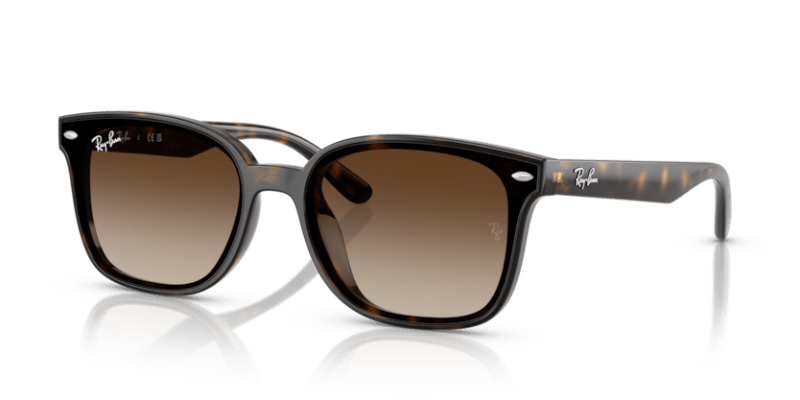 Havana - 0RB4461D 8056262458037