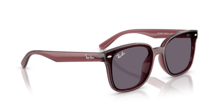 Transparent Dark Brown - 0RB4461D 8056262458020