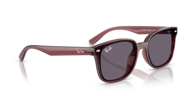 Transparent Dark Brown - 0RB4461D 8056262458020