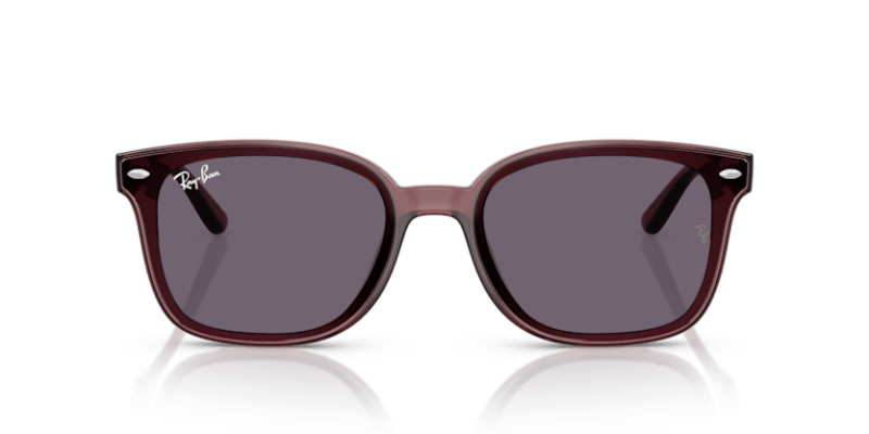 Transparent Dark Brown - 0RB4461D 8056262458020