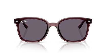 Transparent Dark Brown - 0RB4461D 8056262458020