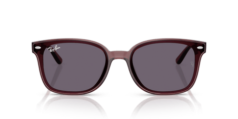 Transparent Dark Brown - 0RB4461D 8056262458020