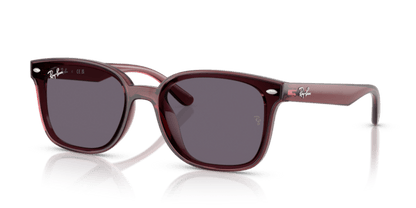 Transparent Dark Brown - 0RB4461D 8056262458020