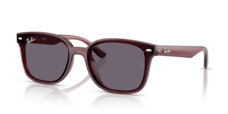 Transparent Dark Brown - 0RB4461D 8056262458020