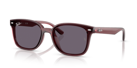 Transparent Dark Brown - 0RB4461D 8056262458020