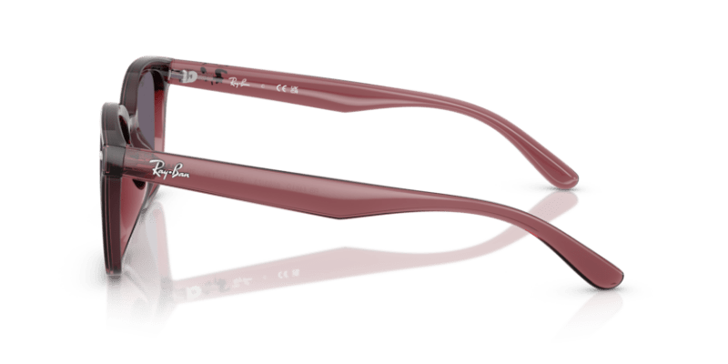 Transparent Dark Brown - 0RB4461D 8056262458020