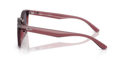 Transparent Dark Brown - 0RB4461D 8056262458020