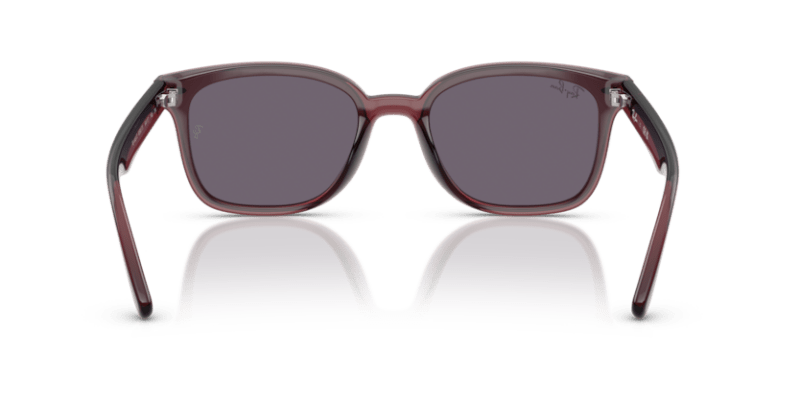 Transparent Dark Brown - 0RB4461D 8056262458020