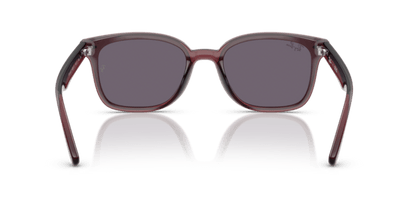 Transparent Dark Brown - 0RB4461D 8056262458020