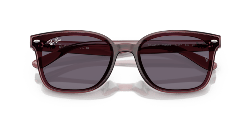 Transparent Dark Brown - 0RB4461D 8056262458020