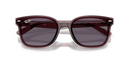 Transparent Dark Brown - 0RB4461D 8056262458020