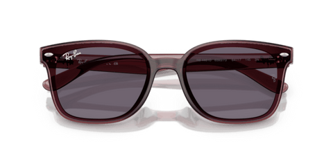 Transparent Dark Brown - 0RB4461D 8056262458020